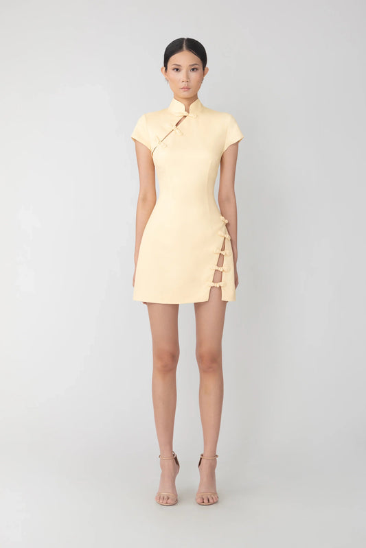 Iris Mini Dress
